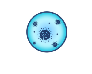 Erpetici