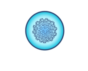 HPV
