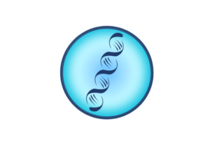 Predisposizioni genetiche