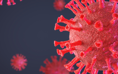 Kit diagnostici per Virus Erpetici: diagnosi e monitoraggio della terapia